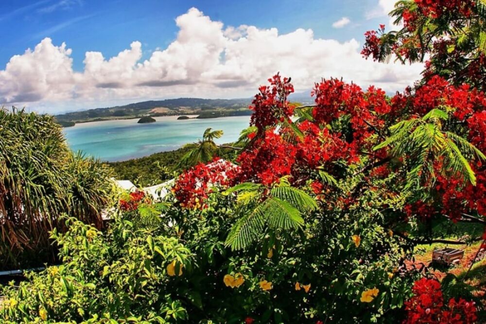 Madinina, the island of flowers